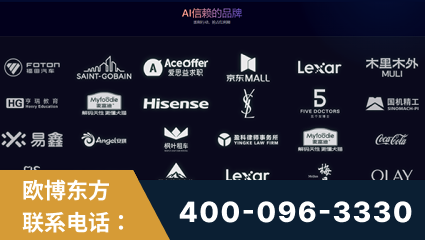 界首-覆盖全行业GEO实战案例验证