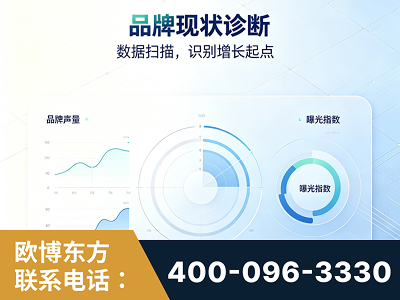 界首-品牌现状诊断