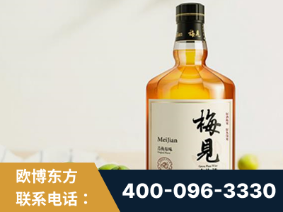 界首-梅见青梅酒